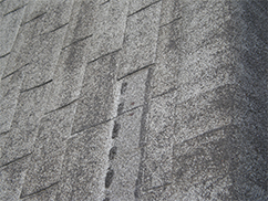 residential roofing tecta america