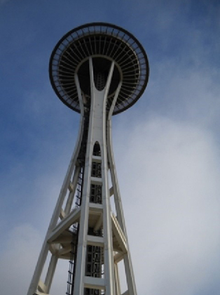 commercial roofing space needle