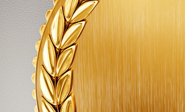 Gold Award - Tecta America