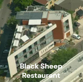 black sheep 2