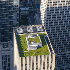 New York, USA - May 22, 2018: Green roof of a skyscraper in New York City. It is a roof covered with vegetation designed to offer environmental benefits.